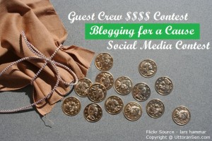 Blogging For A Cause